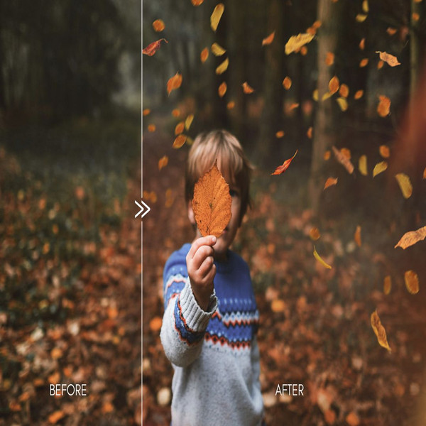 1080x1080 size autumn-falling-leaves-photoshop-photography-overlays-3.jpeg