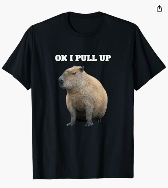 Ok I Pull Up Capybara T-Shirt.png