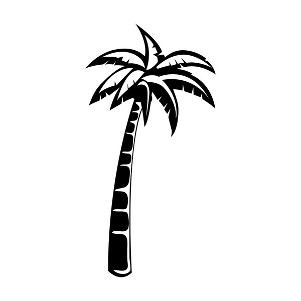 Palm trees3.jpg