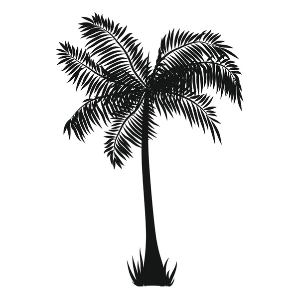 Palm trees4.jpg