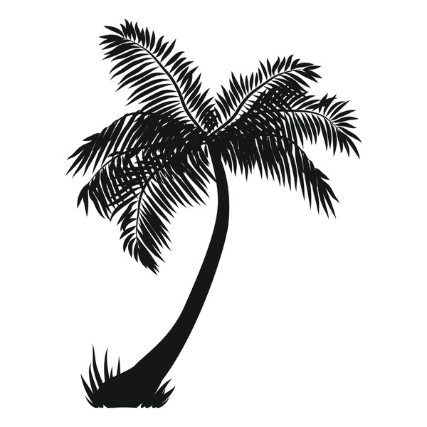 Palm trees5.jpg