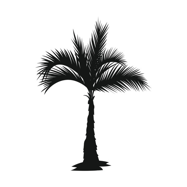 Palm trees10.jpg