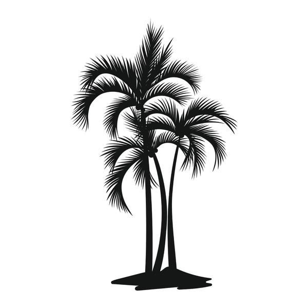 Palm trees9.jpg