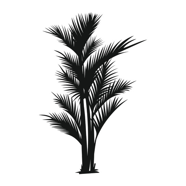 Palm trees11.jpg