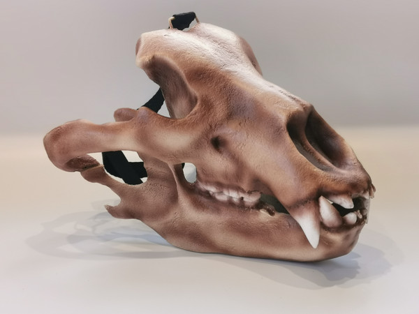Bear skull mask (8).jpg