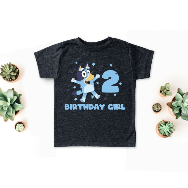 Bluey Family Birthday Shirts Set of 5
