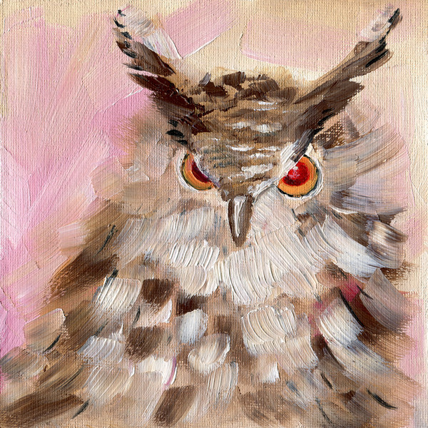 owl.jpg