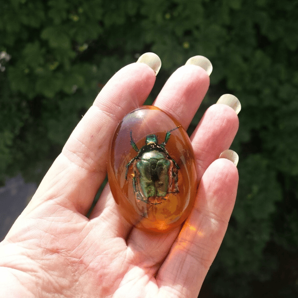 Real Insect Scarab Beetle Amber Resin Cabochon Amulet Protection Home Decor Yellow Green Fridge Magnet (2).jpg