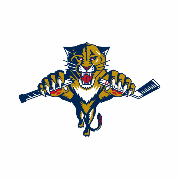 Florida Panthers6.jpg