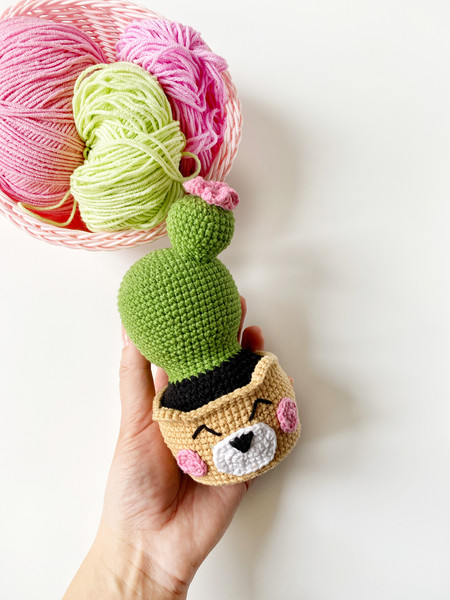 Crochet cactus PATTERN (4).jpg