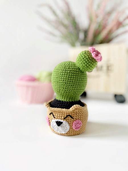 Crochet cactus PATTERN (2).jpg