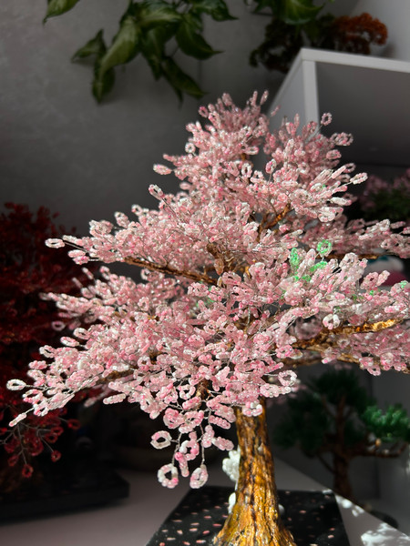 Cherry-blossom-in-light.jpeg