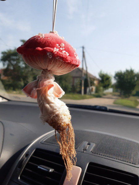 Amanita textile mushroom1