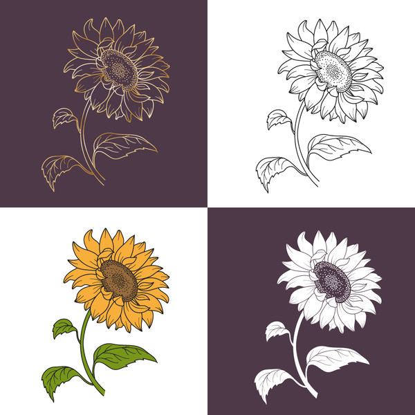 Sunflower-preview-02.jpg