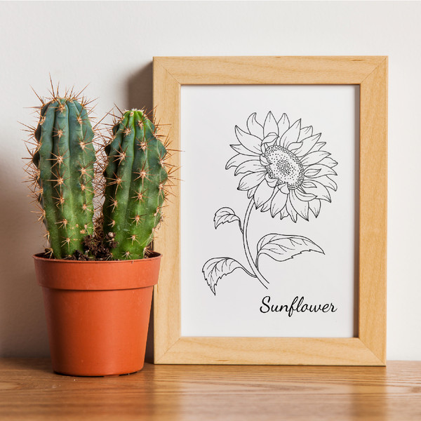 Sunflower-preview-03.jpg