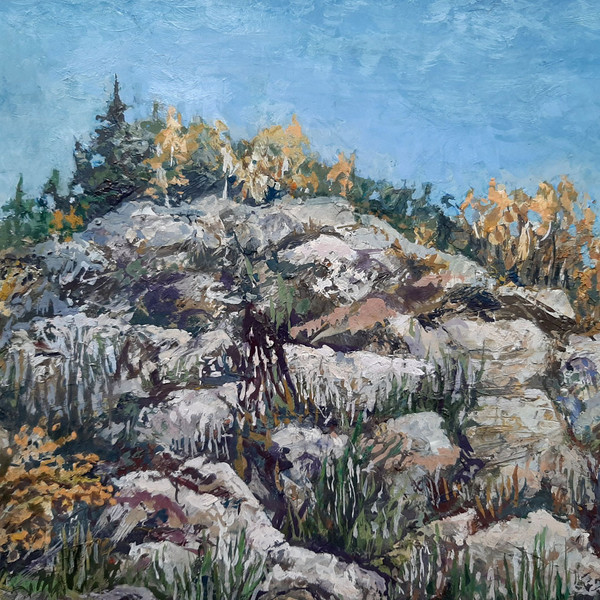 Large boulders sunlit and rock plant in autumn. Fragment of original art on paper.