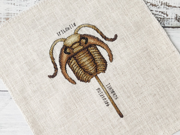 Completed Cross Stitch Trilobite fossil