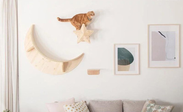 cat-is-balancing-on-the-star-cat-shelf-on-the-wall