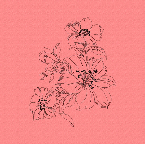 pink lily flower.jpg