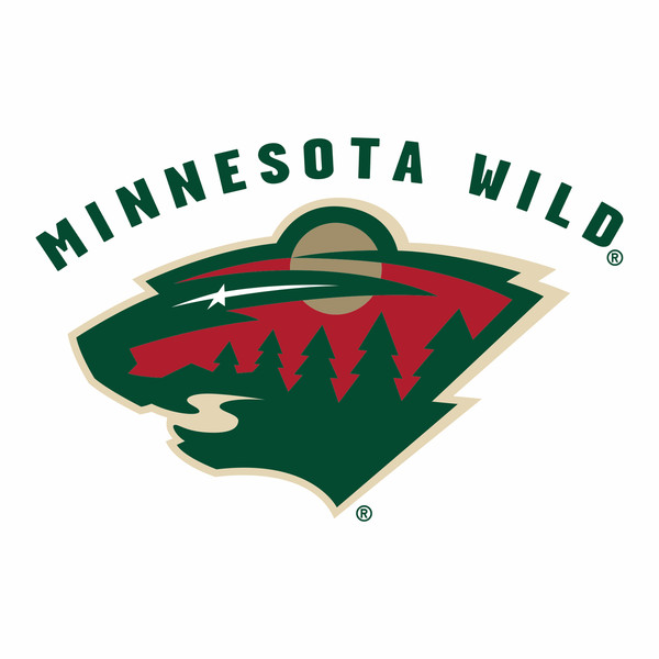 Minnesota Wild4.jpg