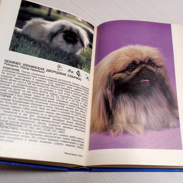 dog-breed-book.jpg
