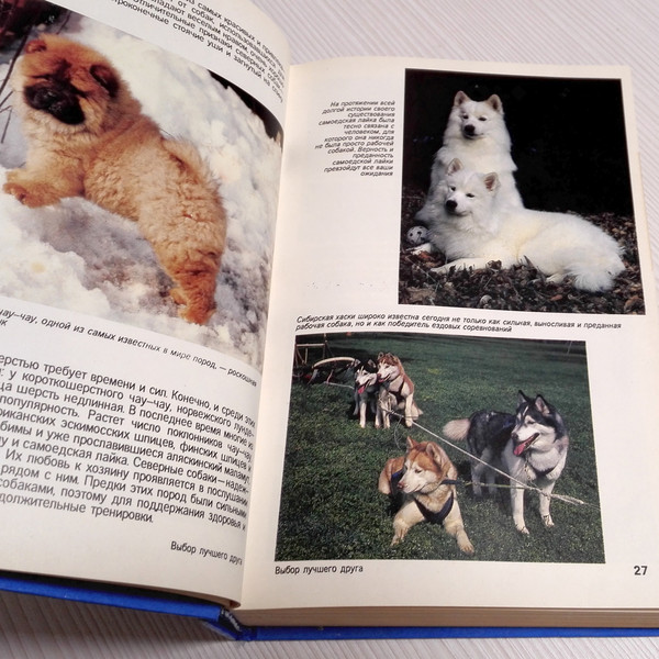 dog-breeds-book.jpg