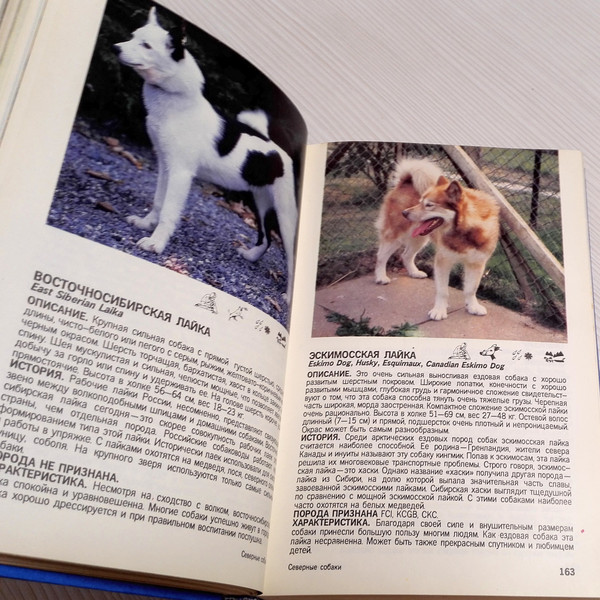 vintage-dog-book.jpg