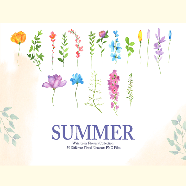 Watercolor Summer Flowers Collection_ 11.jpg