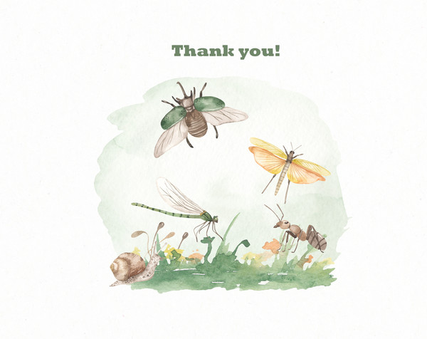 12 Insects watercolor collection thank you.jpg