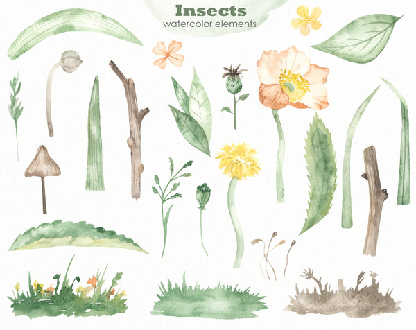 4 Insects watercolor collection elements.jpg