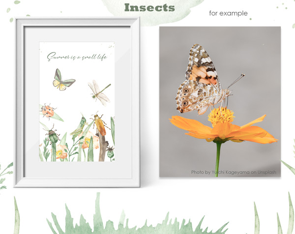 6 Insects watercolor collection pre-made card.jpg
