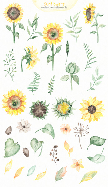 1 Sunflowers watercolor pin.jpg