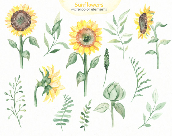 2 Sunflowers watercolor elements.jpg