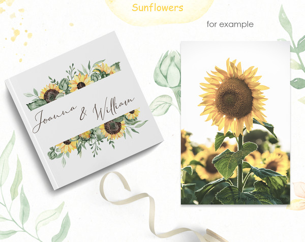 7 Sunflowers watercolor frames.jpg
