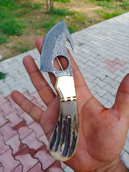 The Perfect Combination: Handmade Damascus Gut Hook Knife wi