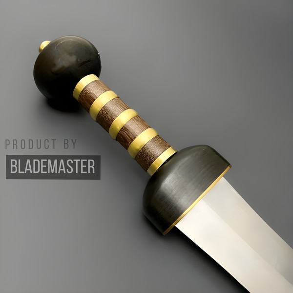 Forged-for-Battle-Custom-Handmade-High-Carbon-Steel-Roman-Gladius-Sword (4).jpg