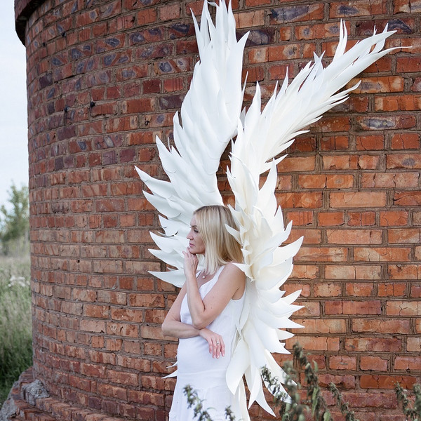 2Angel Costume with Feather Wings.jpg
