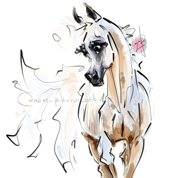 Light White Grey Arabian Horse ART commission cute sketch doodle custom original equine artist cartoon illustration pet portrait realistic drawing personalized
