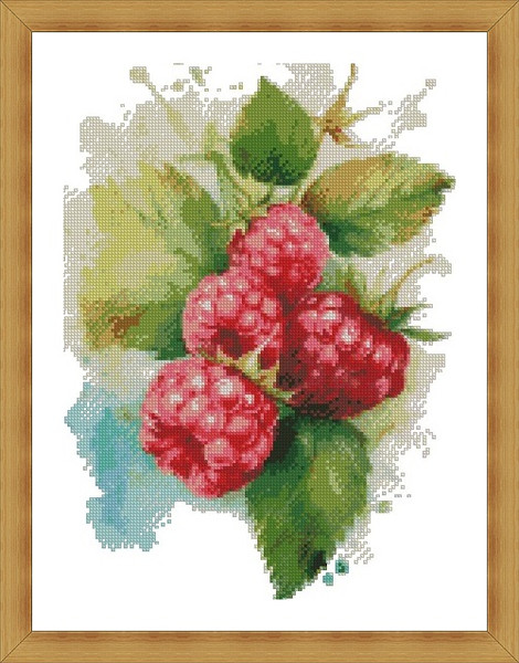 Raspberries1.jpg