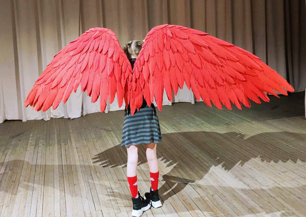 adult wings costume, Hawks costume, red angel wings, devil wings, final fantasy, articulating wings, anime cosplay wings, moving anime wings, movable wings, my 
