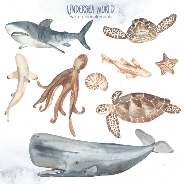 4 Underwater world watercolor.jpg