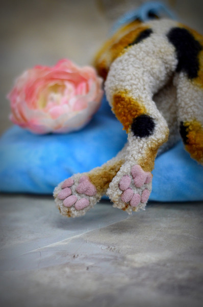 Devon Rex kitten.  Handmade toy. Art doll animal (5).JPG