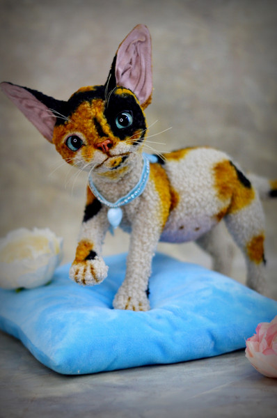 Devon Rex kitten.  Handmade toy. Art doll animal (7).JPG