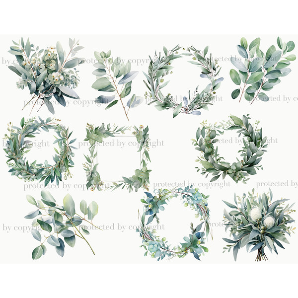 Watercolor eucalyptus branches with leaves, eucalyptus leaf wreaths, green foliage, foliage wreath, Green Leaves, eucalyptus Floral Frame Design