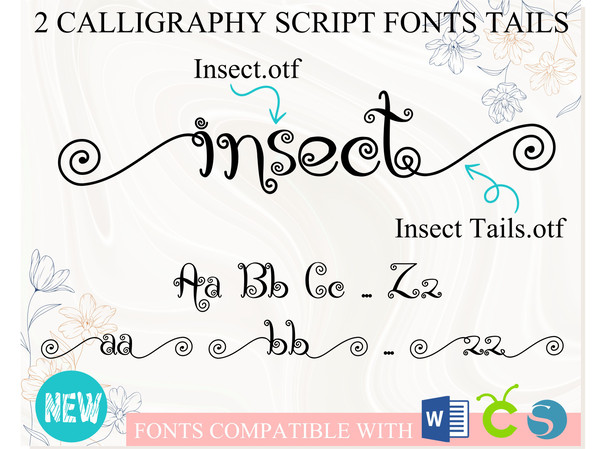 Font with Tails 1.jpg