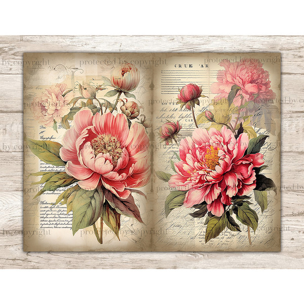 Junk Journal pages with watercolor peonies. On the left, a peony with greenery against the background of old vintage paper with italic notes. On the right, larg