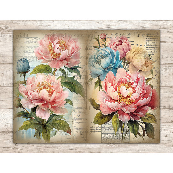 Junk Journal pages with watercolor peonies. On the left, pink and blue peonies with greenery on the background of old vintage paper with cursive notes. On the r