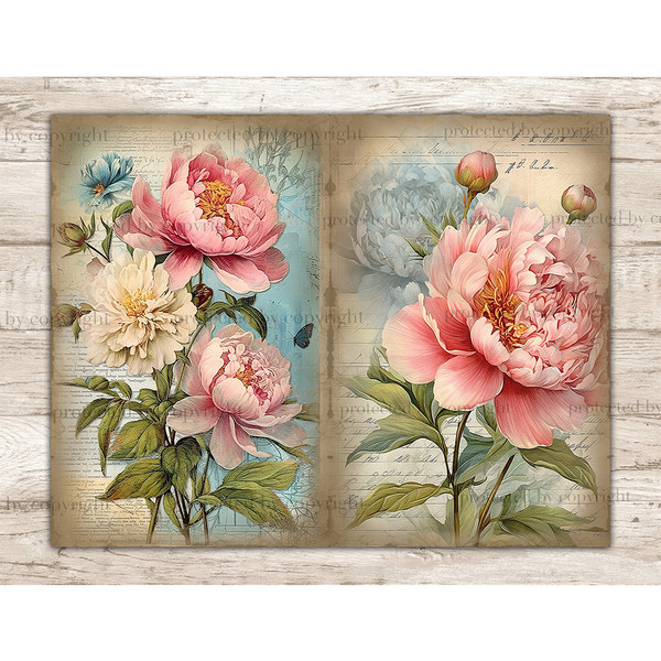 Junk Journal pages with watercolor peonies. On the left, large pink and white peonies with greenery against the background of old vintage note paper. On the rig