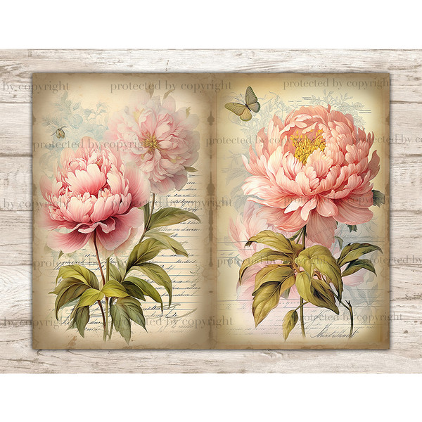 Junk Journal pages with watercolor peonies. On the left, a large pink peony with greenery against the background of old vintage paper with notes in italics. On