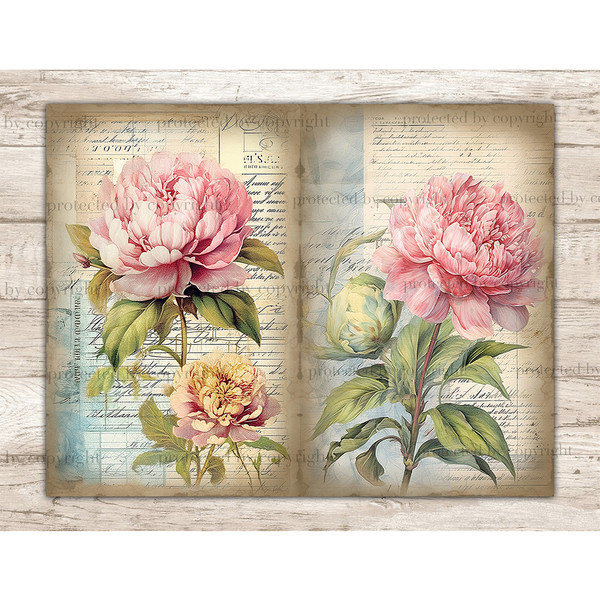 Junk Journal pages with watercolor peonies. On the left, large pink peonies with greenery against a blue spot and old vintage paper with notes in italics. On th